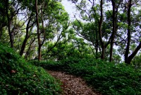/album/natureza-nature/a2013-08-31-10-47-47-jpg/